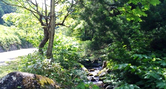 photo.jpg